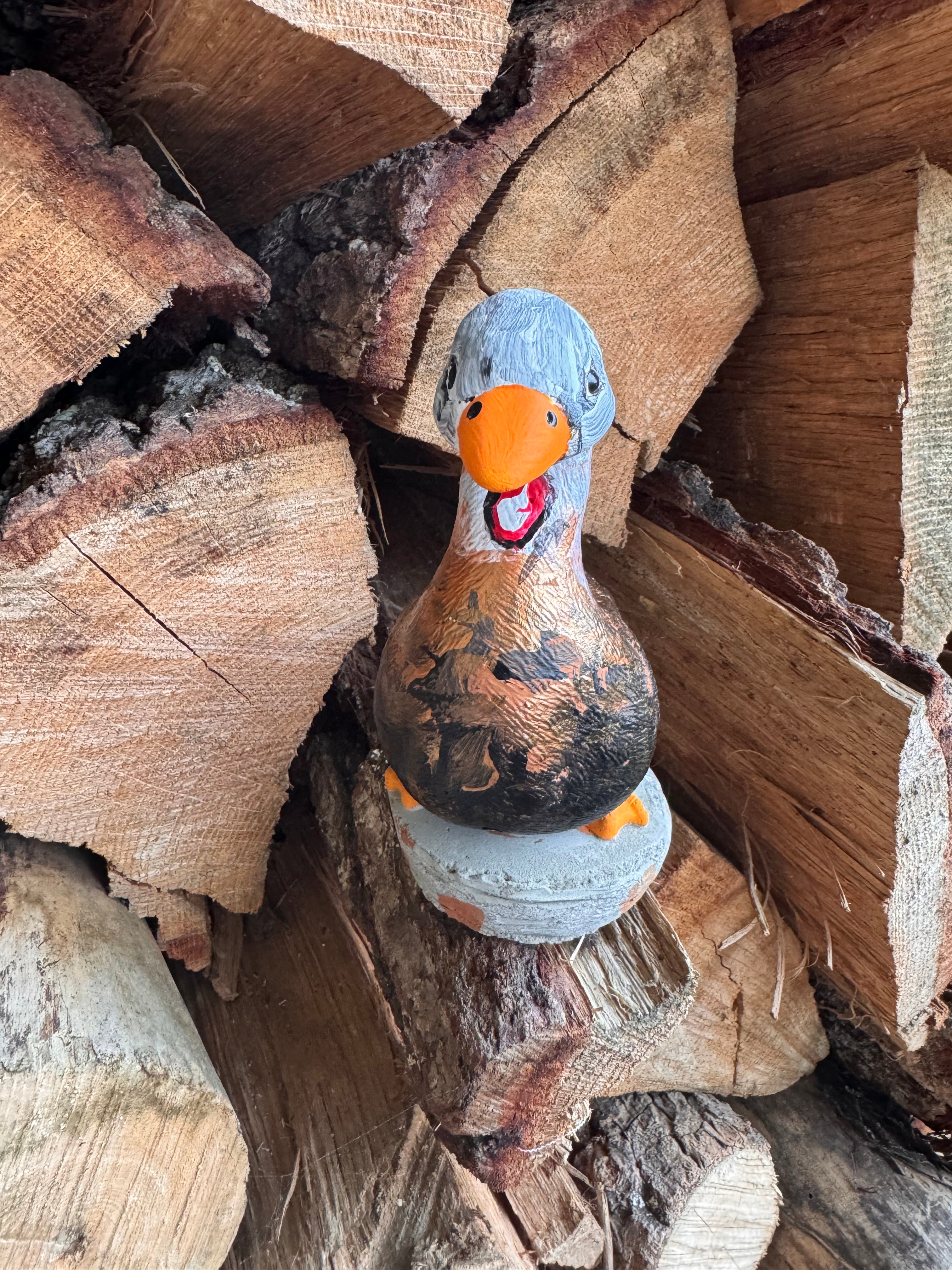 The Oops Goose Flock