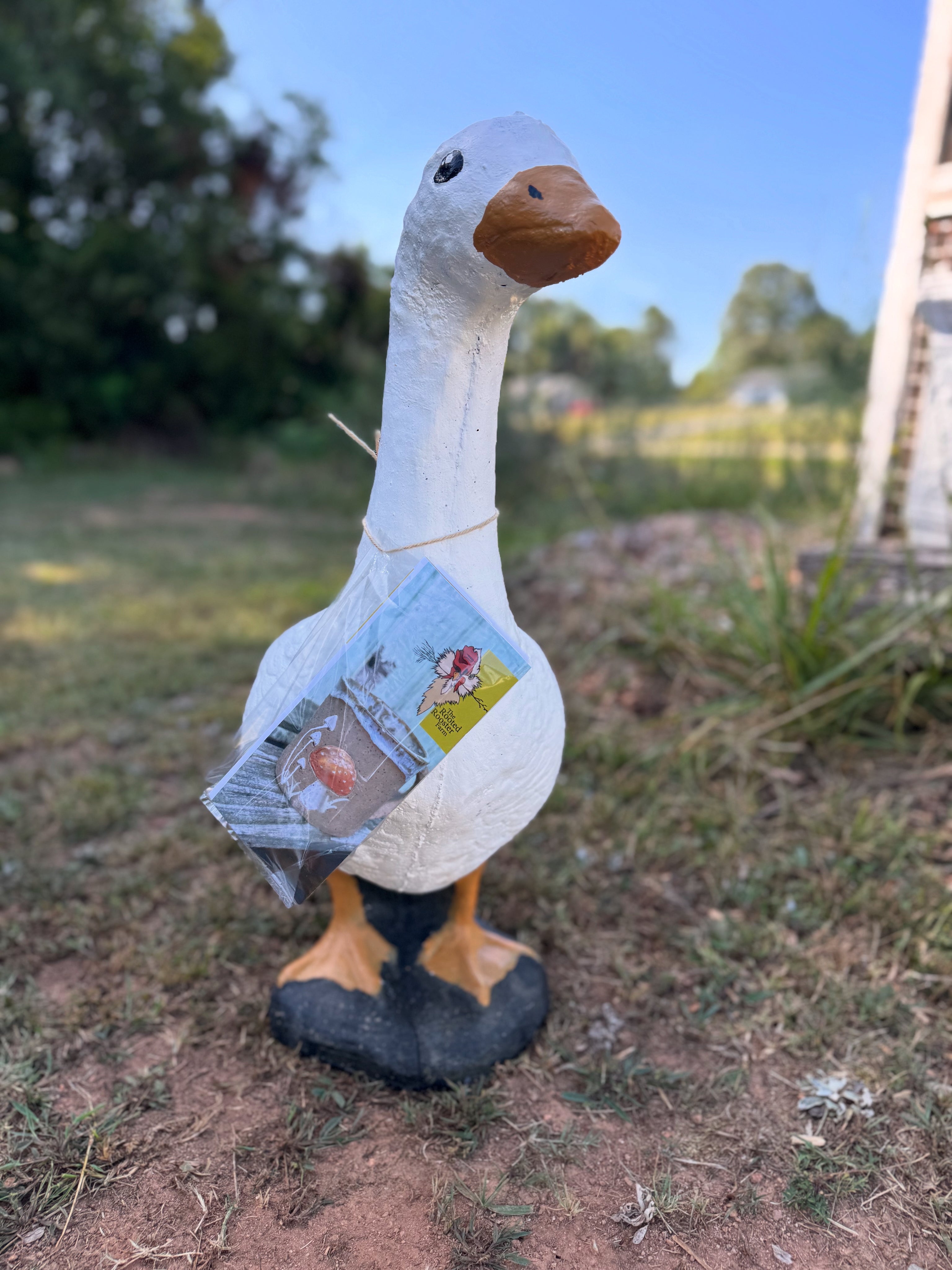 Porch Goose and Gosling